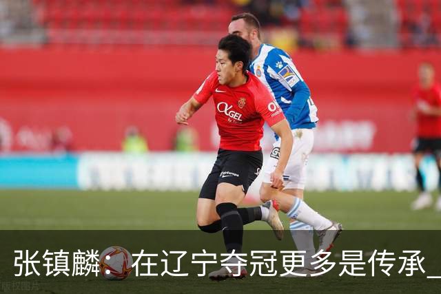 张镇麟：在辽宁夺冠更多是传承 在上海夺冠更像是实现自我价值